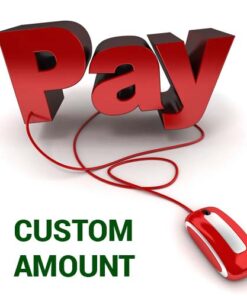 custom payment